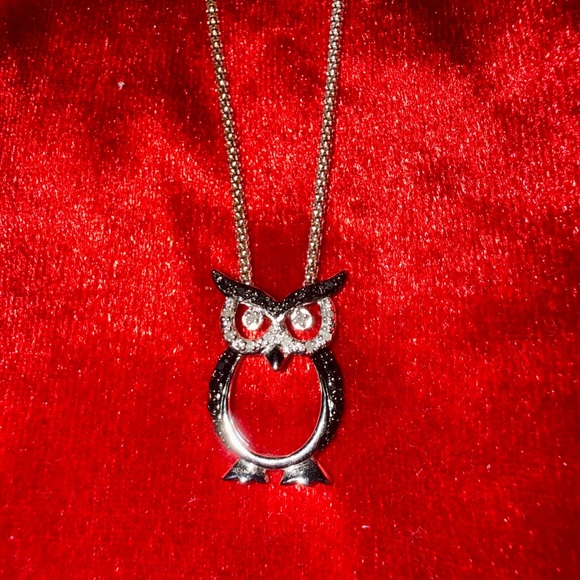 Sears Jewelry - Black diamond and white diamond owl with chain.